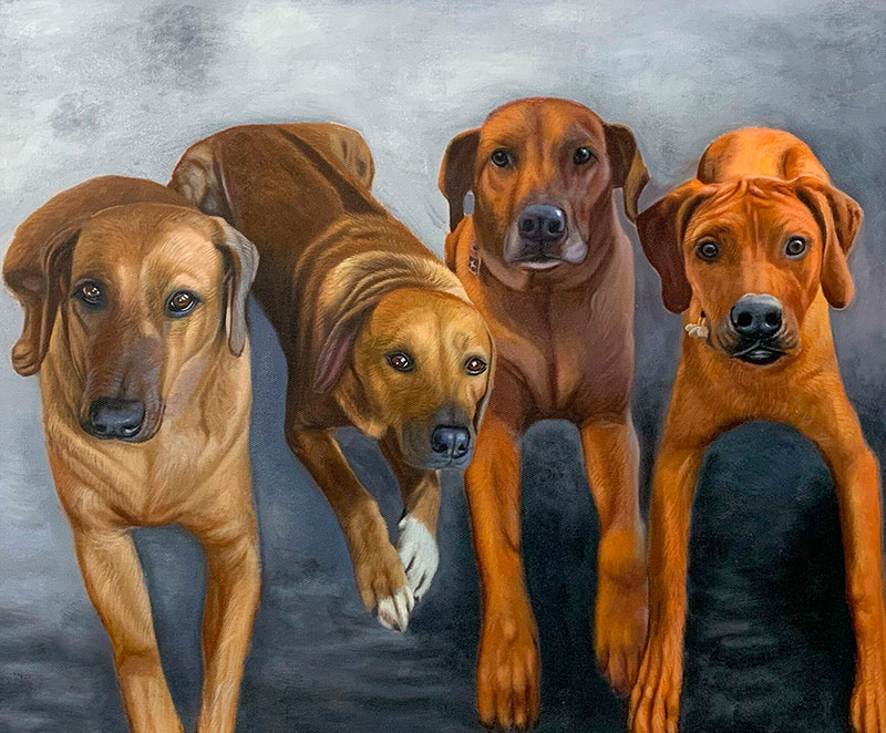 Painting of four Rhodesian Ridgebacks.