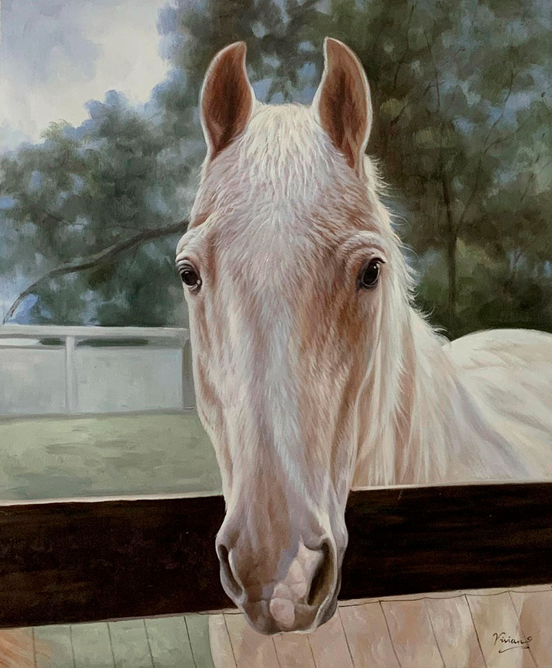 Custom handmade oil painting of a white horse