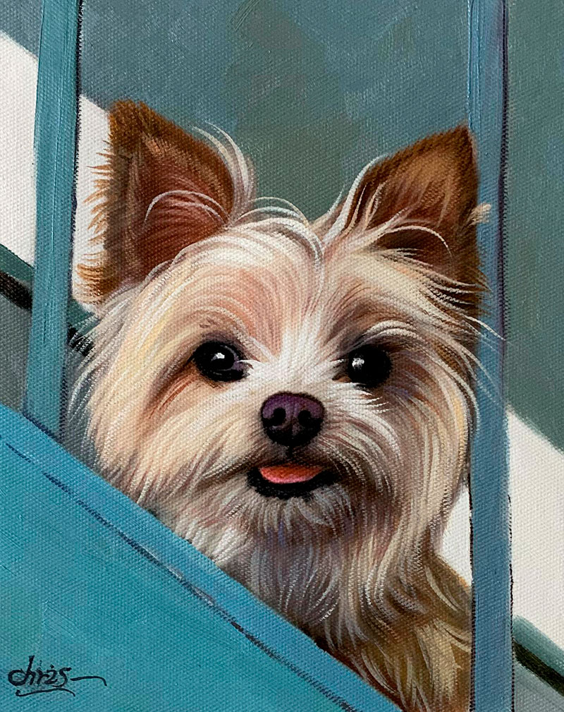 Painting of a Yorkshire Terrier peeking through a teal gate.