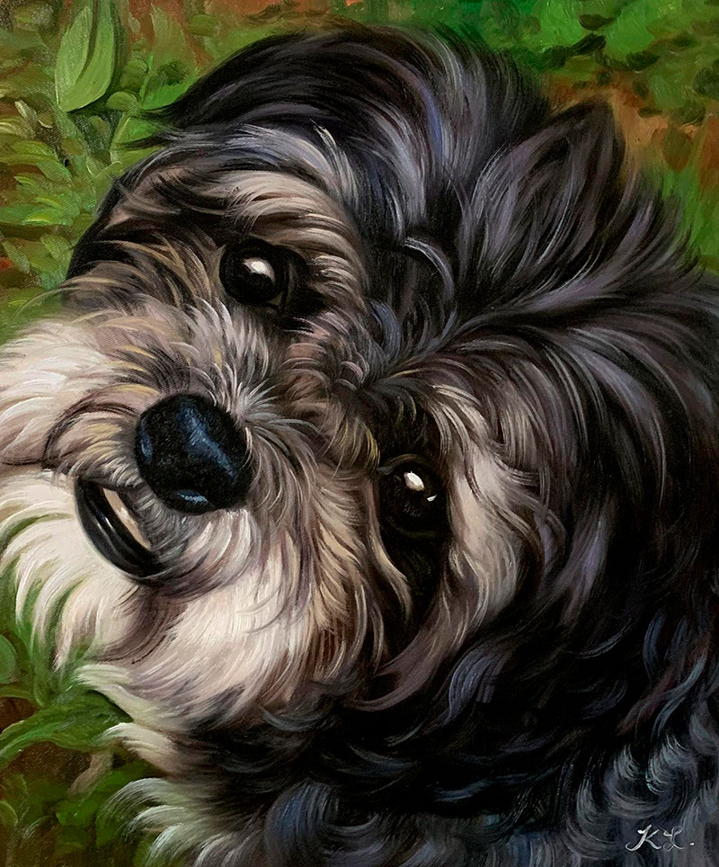 Close-up painting of a fluffy black and white dog`s face.