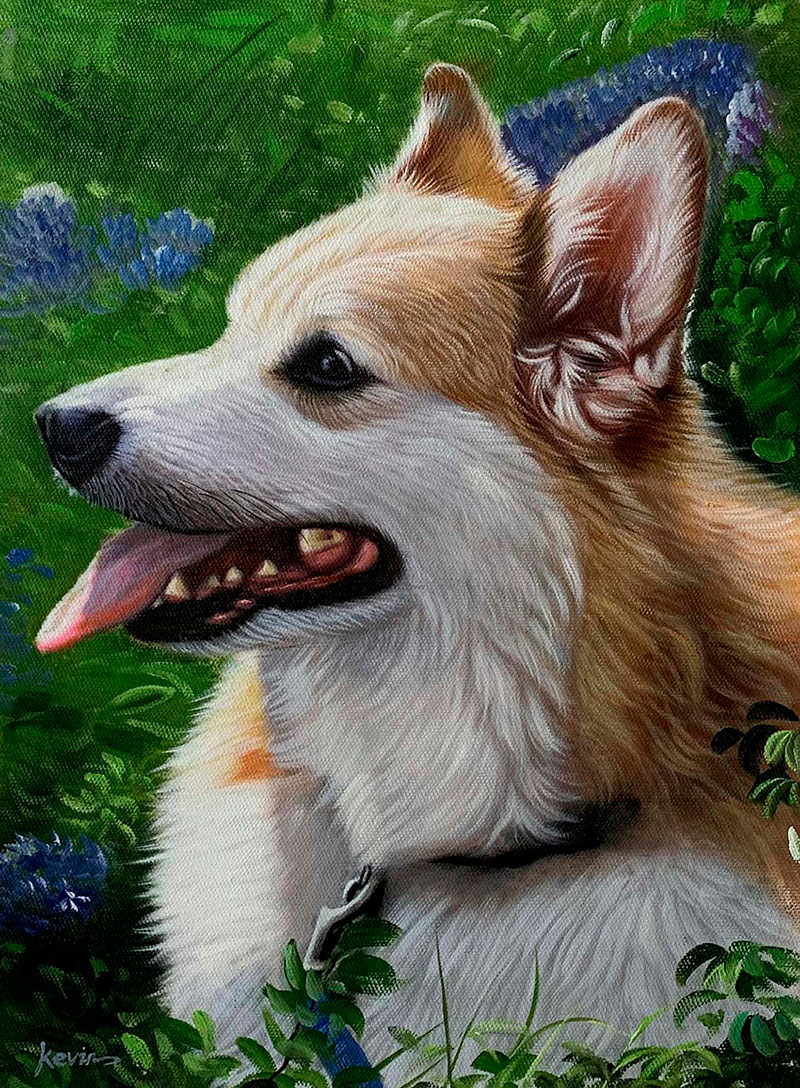 Painting of a corgi amidst bluebonnet flowers.