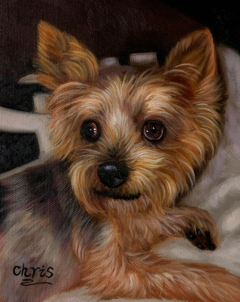 Oil painting of a Yorkshire Terrier.