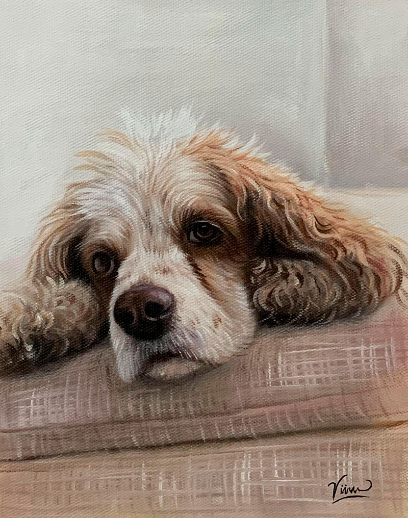 Painting of a Cocker Spaniel resting its head on a cushion.
