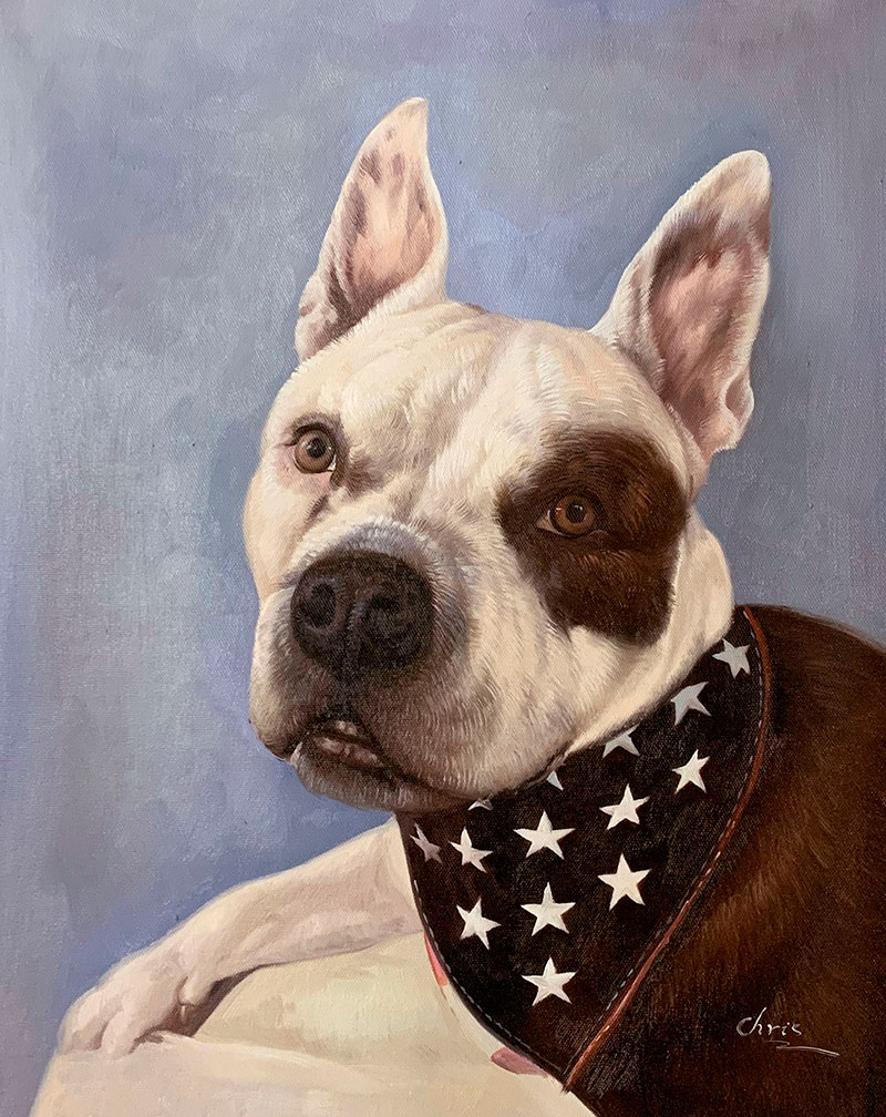Painting of a white and brown pit bull wearing a bandana with white stars.