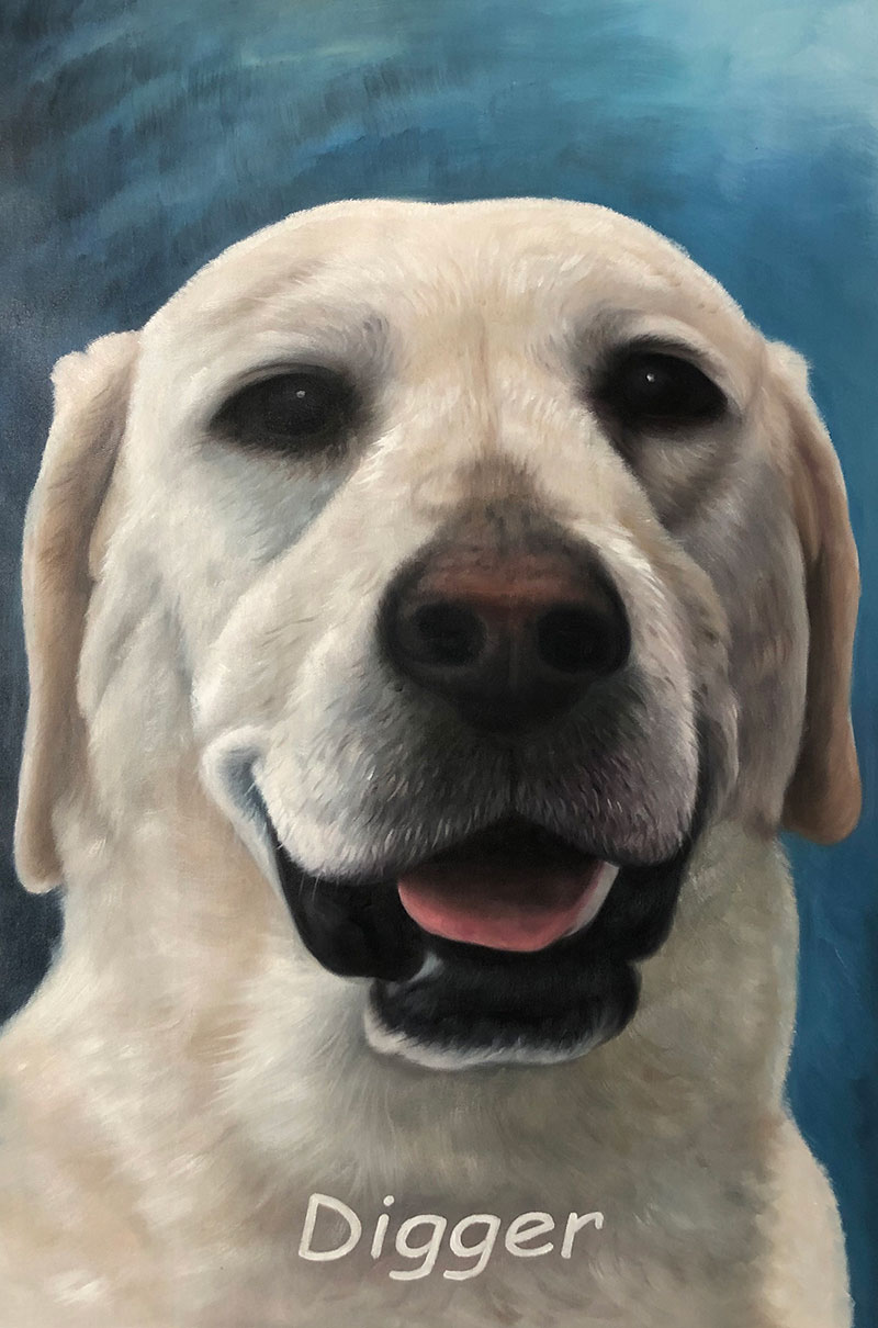 Custom close up oil artwork of a dog