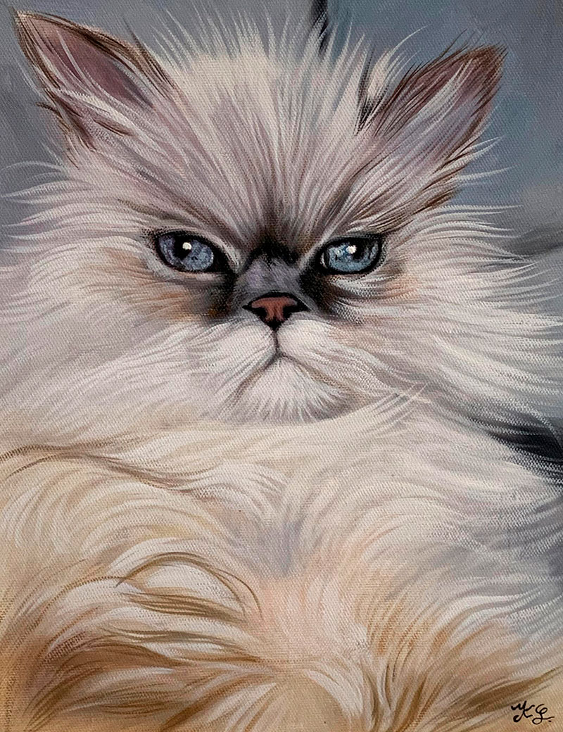 Custom close up oil painting of a grumpy cat