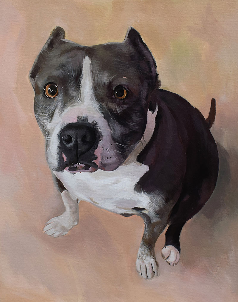 personalized acrylic painting of the dog