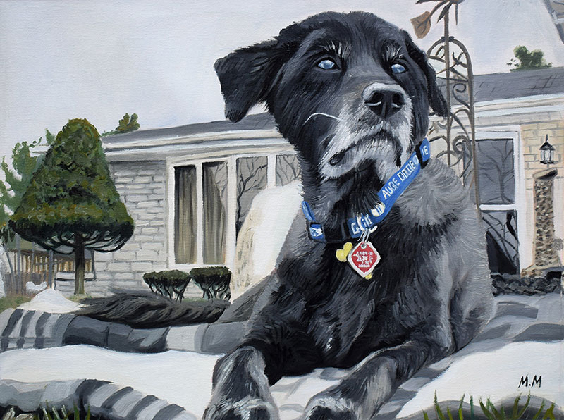 Painting of a black dog with blue eyes wearing a blue collar and tag, sitting outside a house in the snow.
