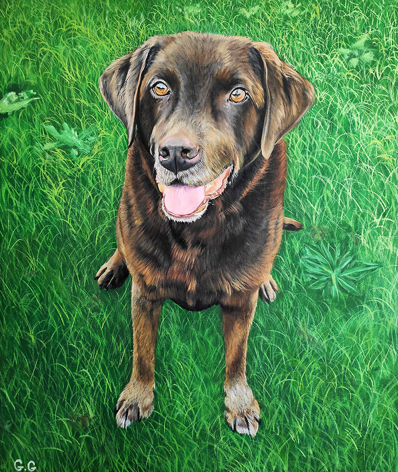 handmade custom oil portraits of a brown dog