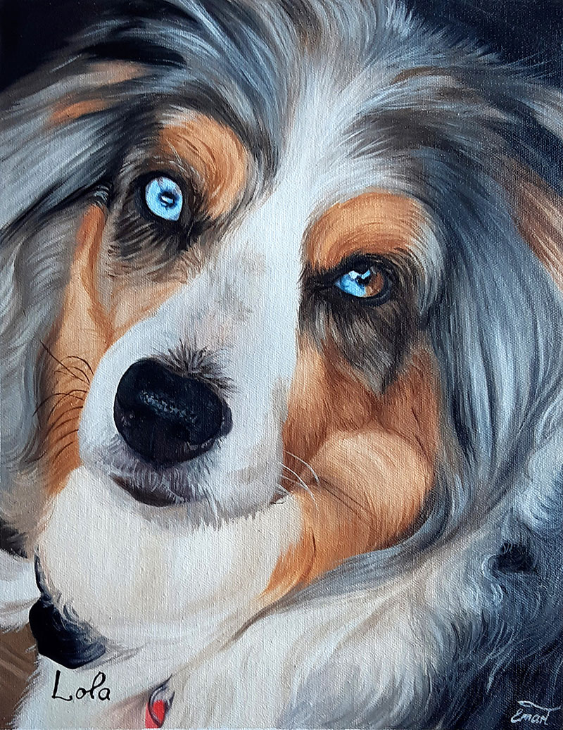 custom painting of long haired dog with heterochromia