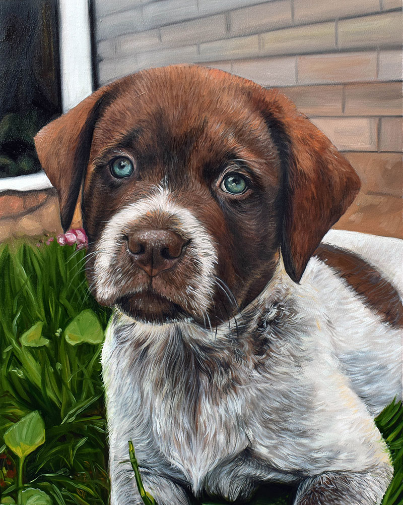 Oil painting best sale dog portraits