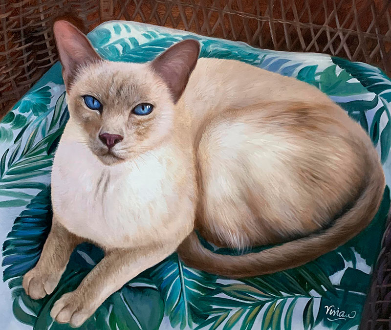 Close up hand drawn oil painting of a cat with blue eyes