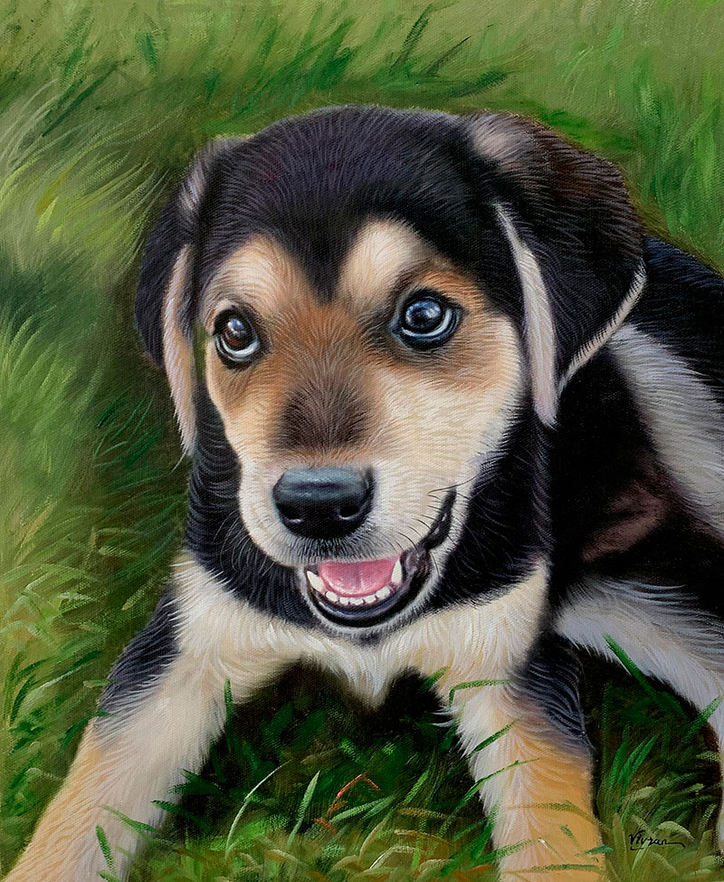 Beautiful close up painting of a dog