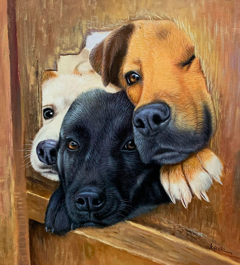 Three puppies peeking through a wooden gap.