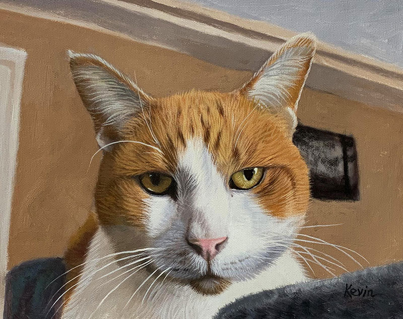 Hand drawn close up oil painting of a cat