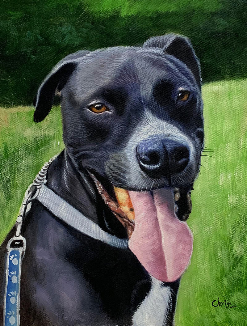 Hyper realistic acrylic painting of a black dog 