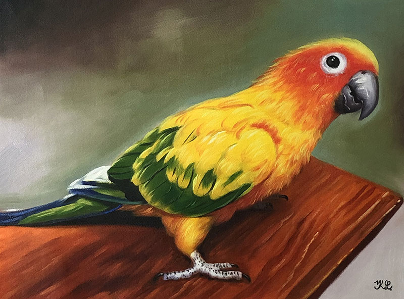 Painting of a sun conure parrot on wood.