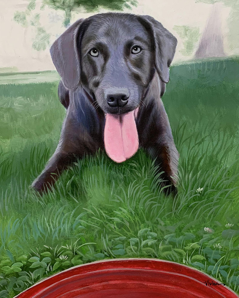 Painting of a gray Labrador Retriever lying in the grass with its tongue out, part of a red object visible at the bottom.