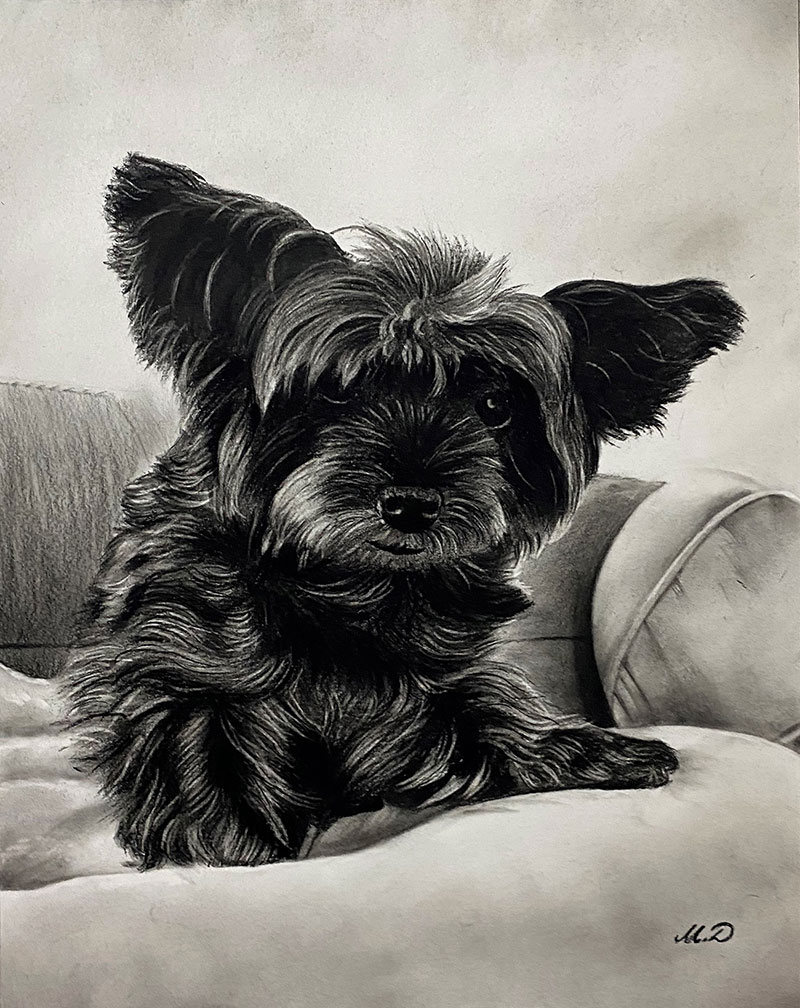 Custom charcoal painting of a dog
