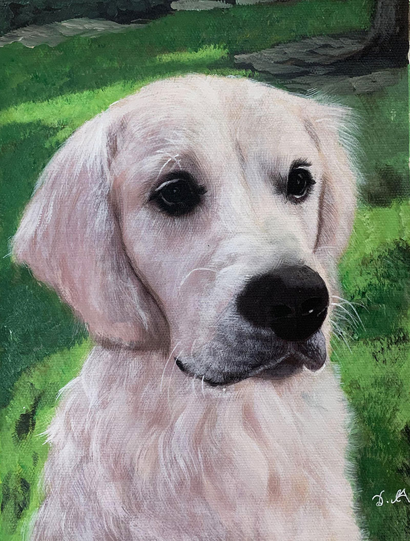 Custom pastel painting of a white dog