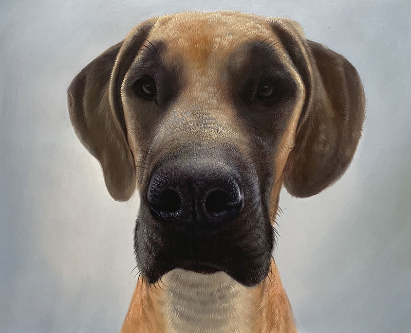 Painting of a fawn Great Dane looking directly at the viewer