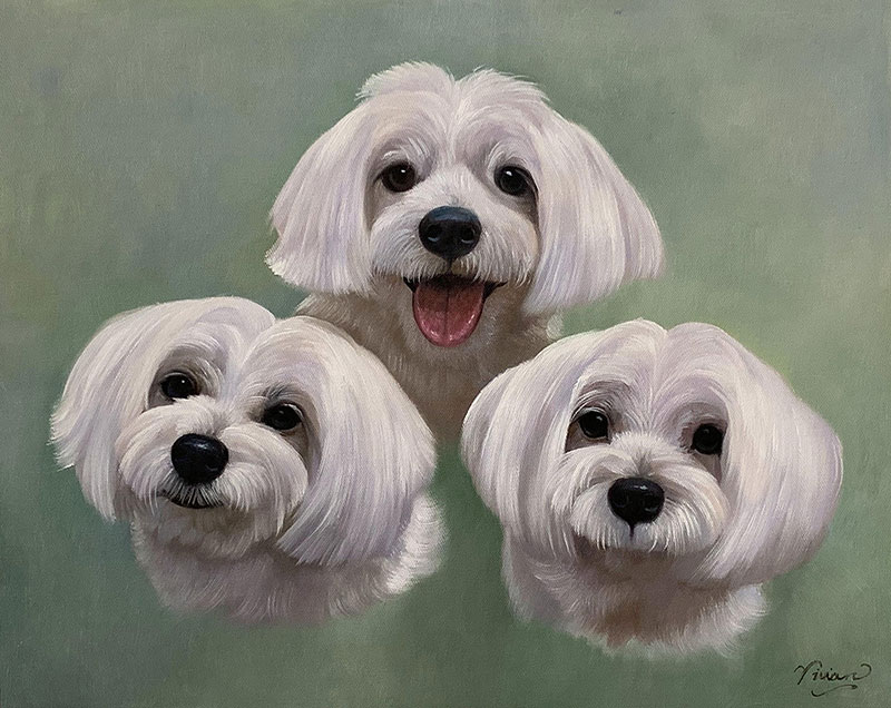 Painting of three Maltese dogs