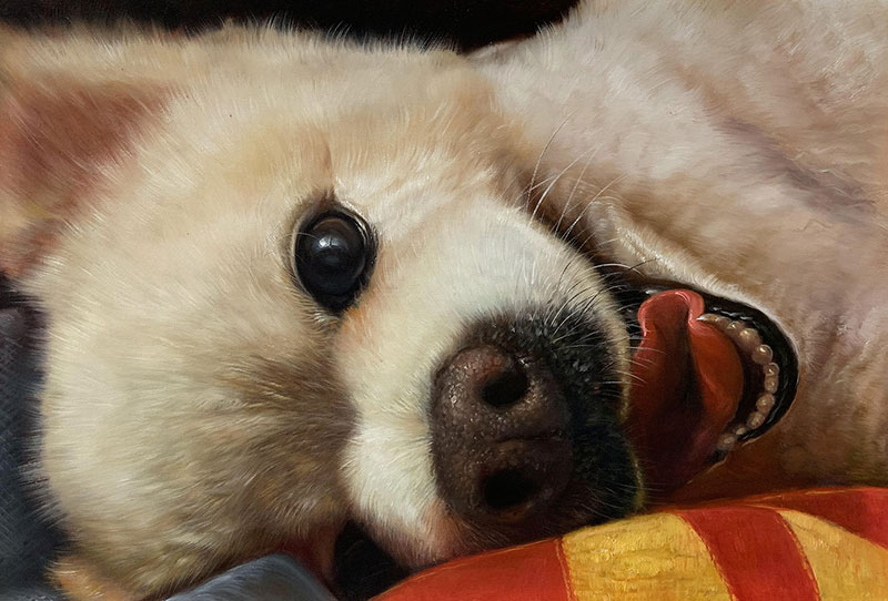 Beautiful close up oil painting of a dog