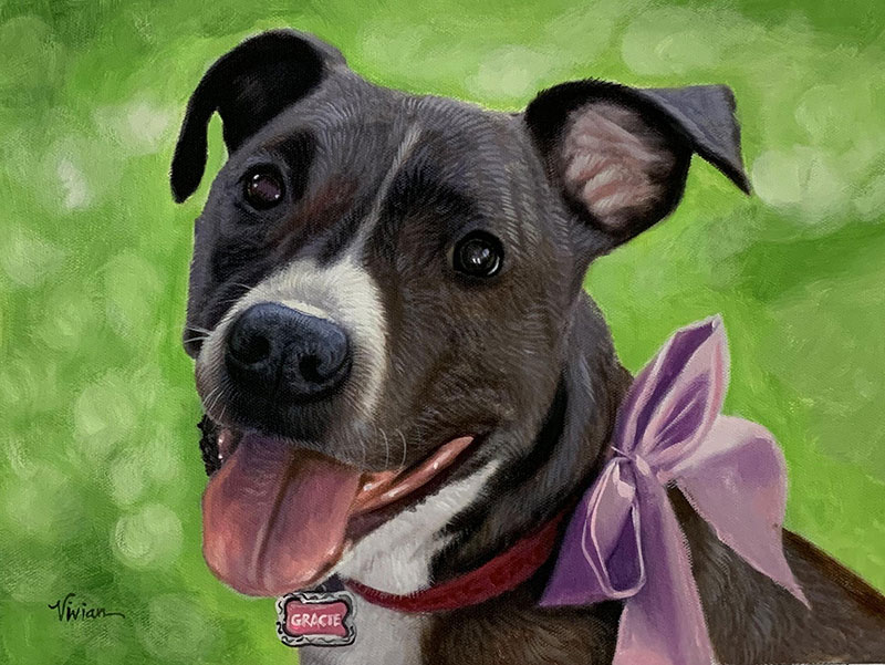 Painting of a smiling black and white dog wearing a purple bow and a collar with a Gracie tag.