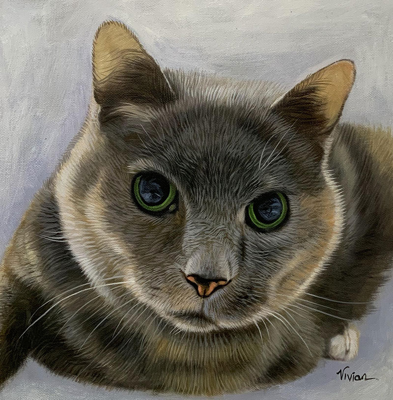 Close up oil painting of a cat with a solid background
