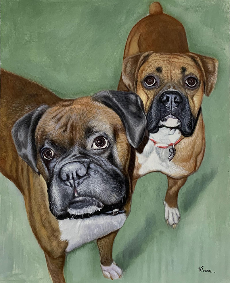 Painting of two fawn Boxer dogs looking up.