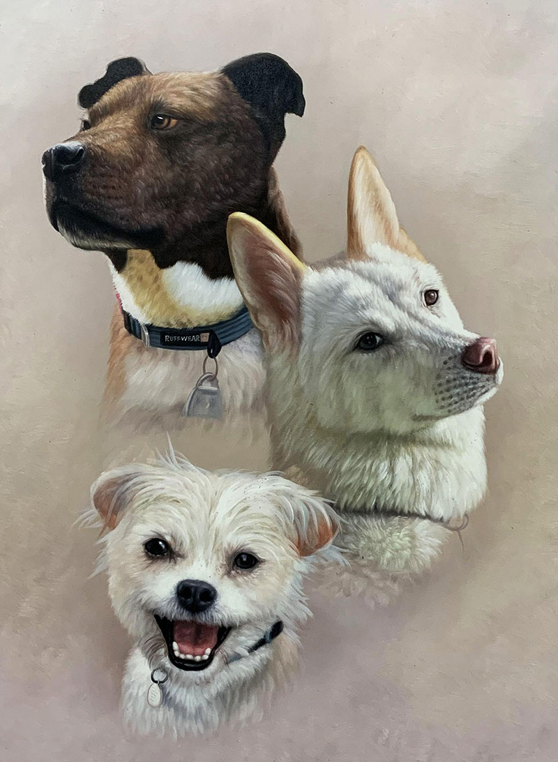 Custom oil artwork of the three dogs with a solid background