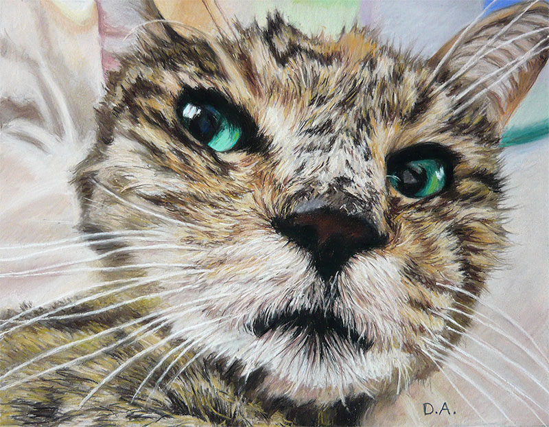 tête de chat en peinture