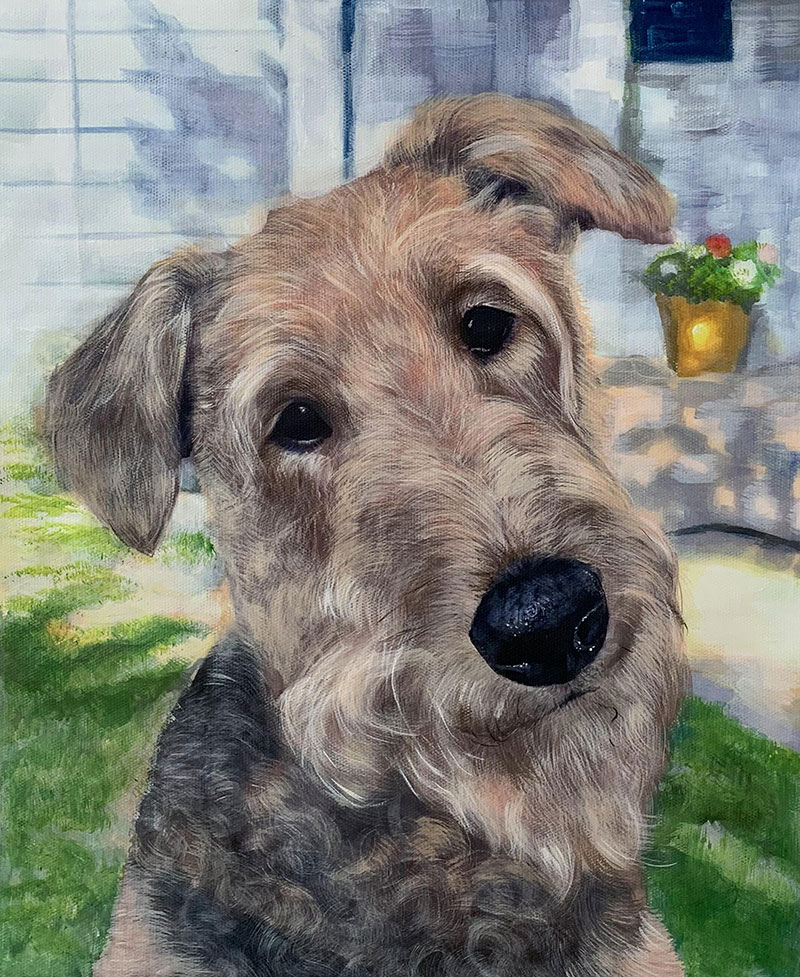 picture to pastel painting of irish terrier 