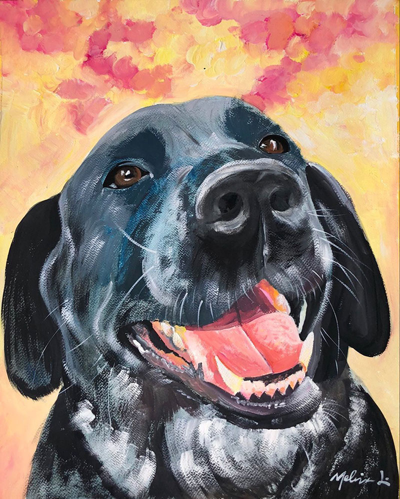 colorful pastel pet portrait of a dog