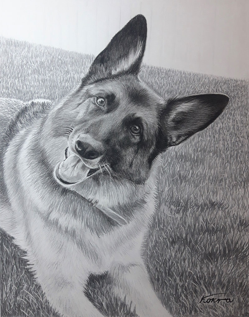 Close up charcoal painting of a dog
