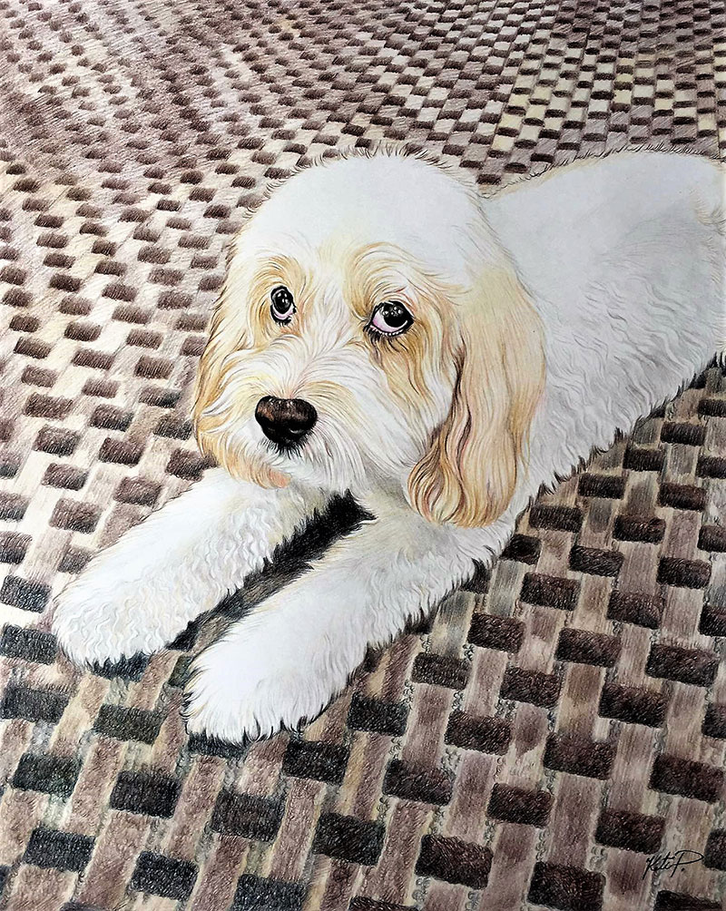 Beautiful color pencil painting of a dog
