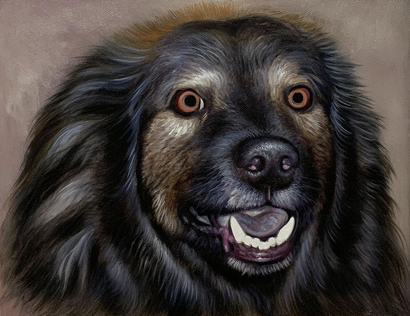 Close up acrylic artwork of a dog
