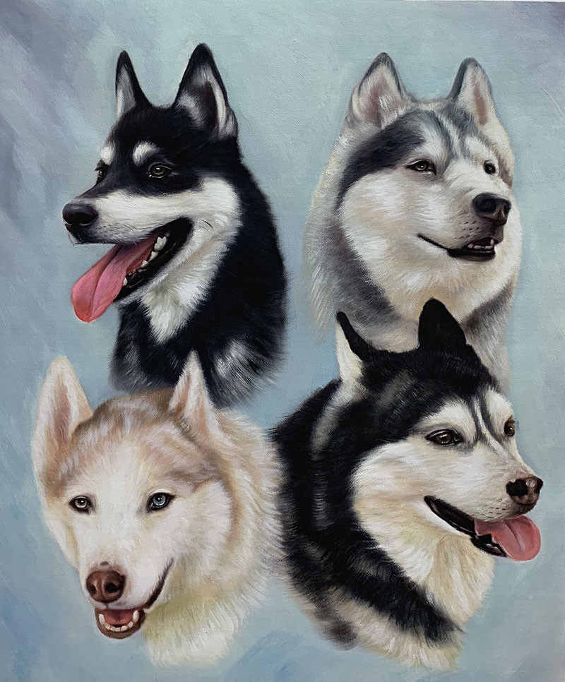 four dogs portrait custom art