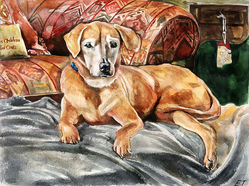 custom watercolor painting of dog laying by the couch