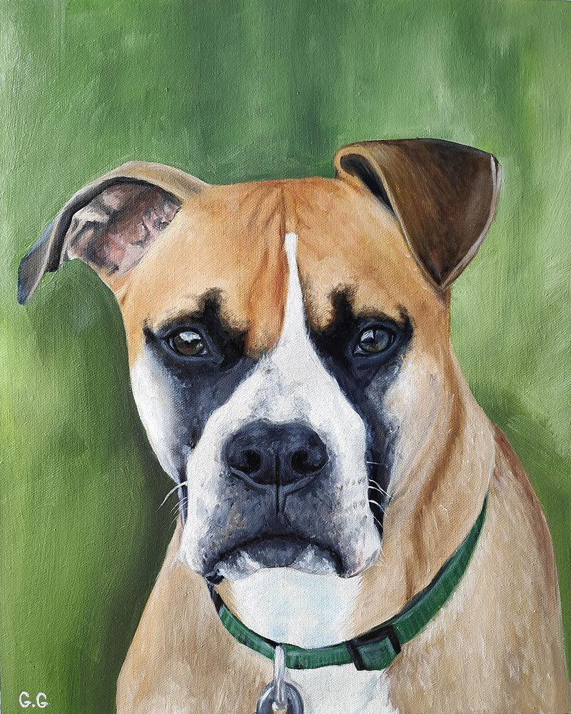 handmade portrait of boxer on green background