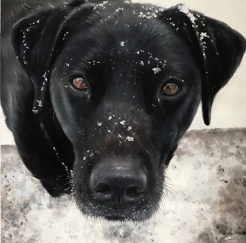 Close-up painting of a black Labrador covered in snow.