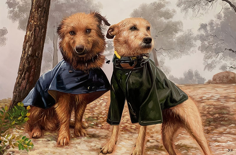 Two brown dogs wearing raincoats in a foggy forest.