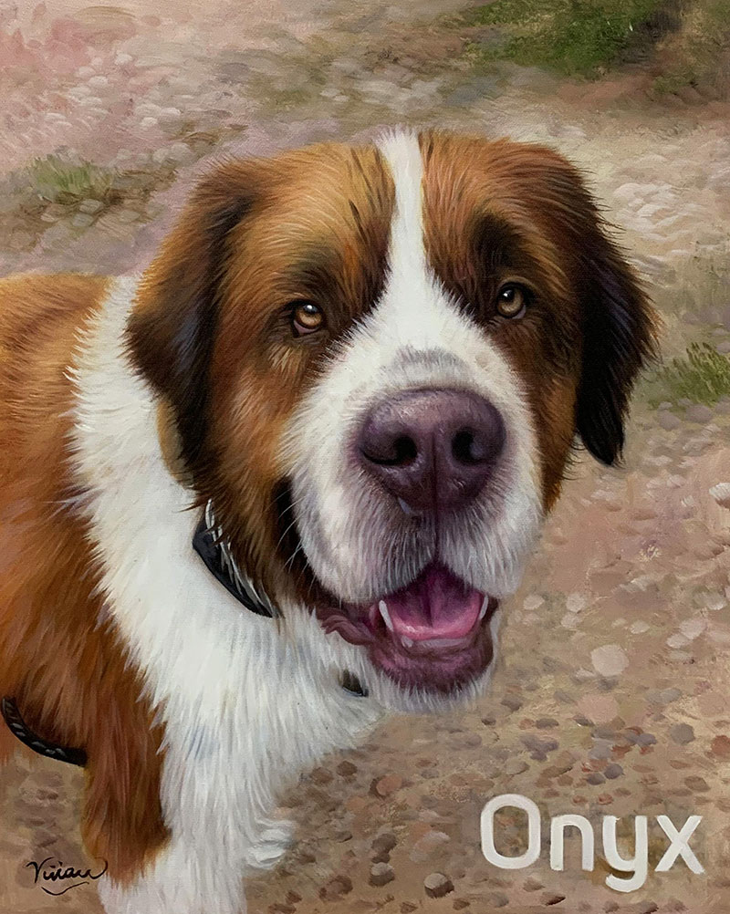 Painting of Onyx, a Saint Bernard dog