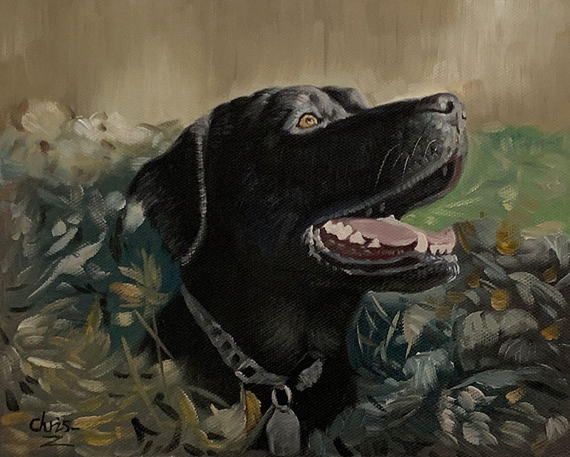 Painting of a black Labrador Retriever with its mouth open, wearing a collar with a tag, amidst foliage.