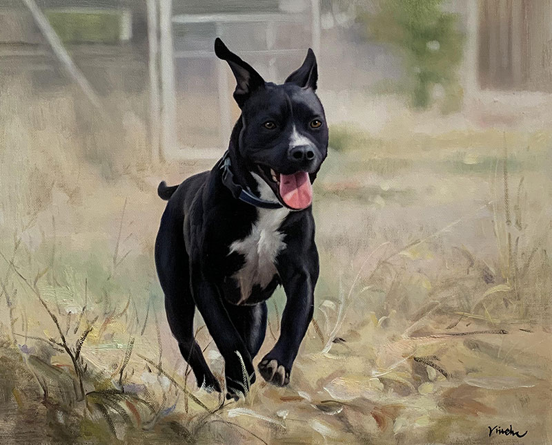 Painting of a black and white pit bull terrier running through tall grass.
