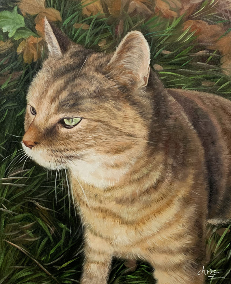 Custom close up oil artwork of a cat 