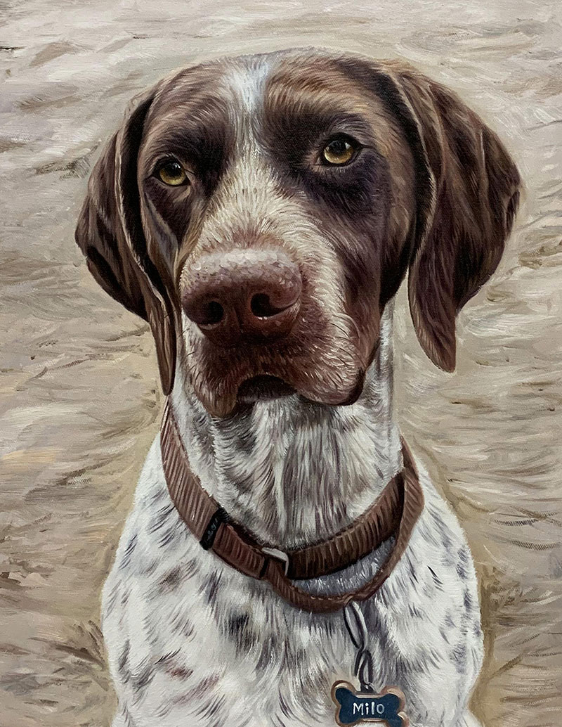Painting of a German Shorthaired Pointer named Milo wearing a brown collar.