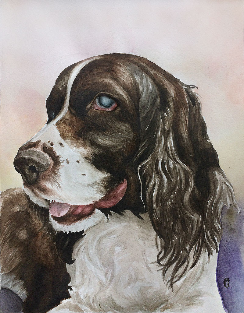 Custom handmade watercolor painting of a dog