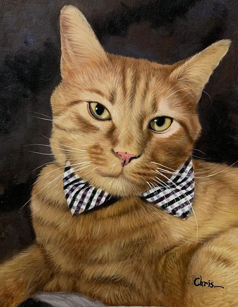 Custom close up oil painting of a cat