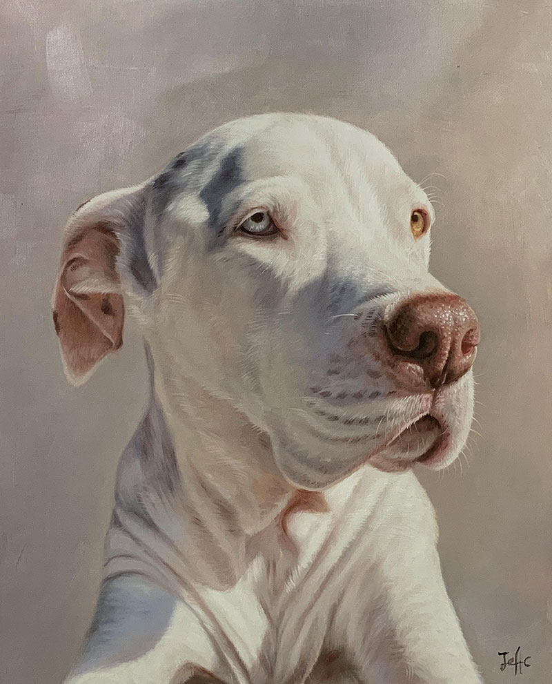 Custom handmade close up oil artwork of a dog